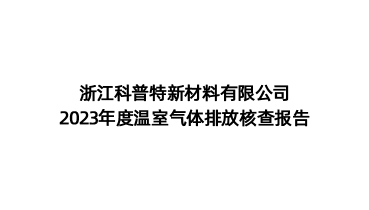 碳排放核查报告-浙江科普特新材料有限公司